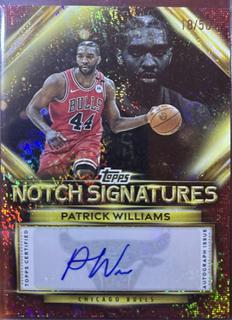 Patrick Williams