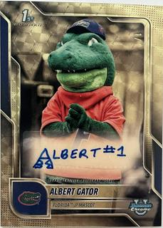 Albert Gator