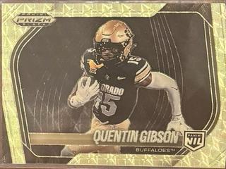 Quentin Gibson