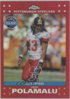Troy Polamalu