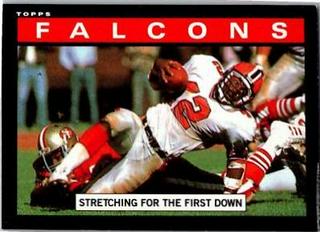 Falcons Team Leaders