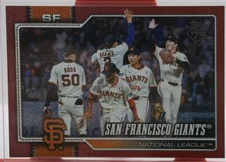 Team Card