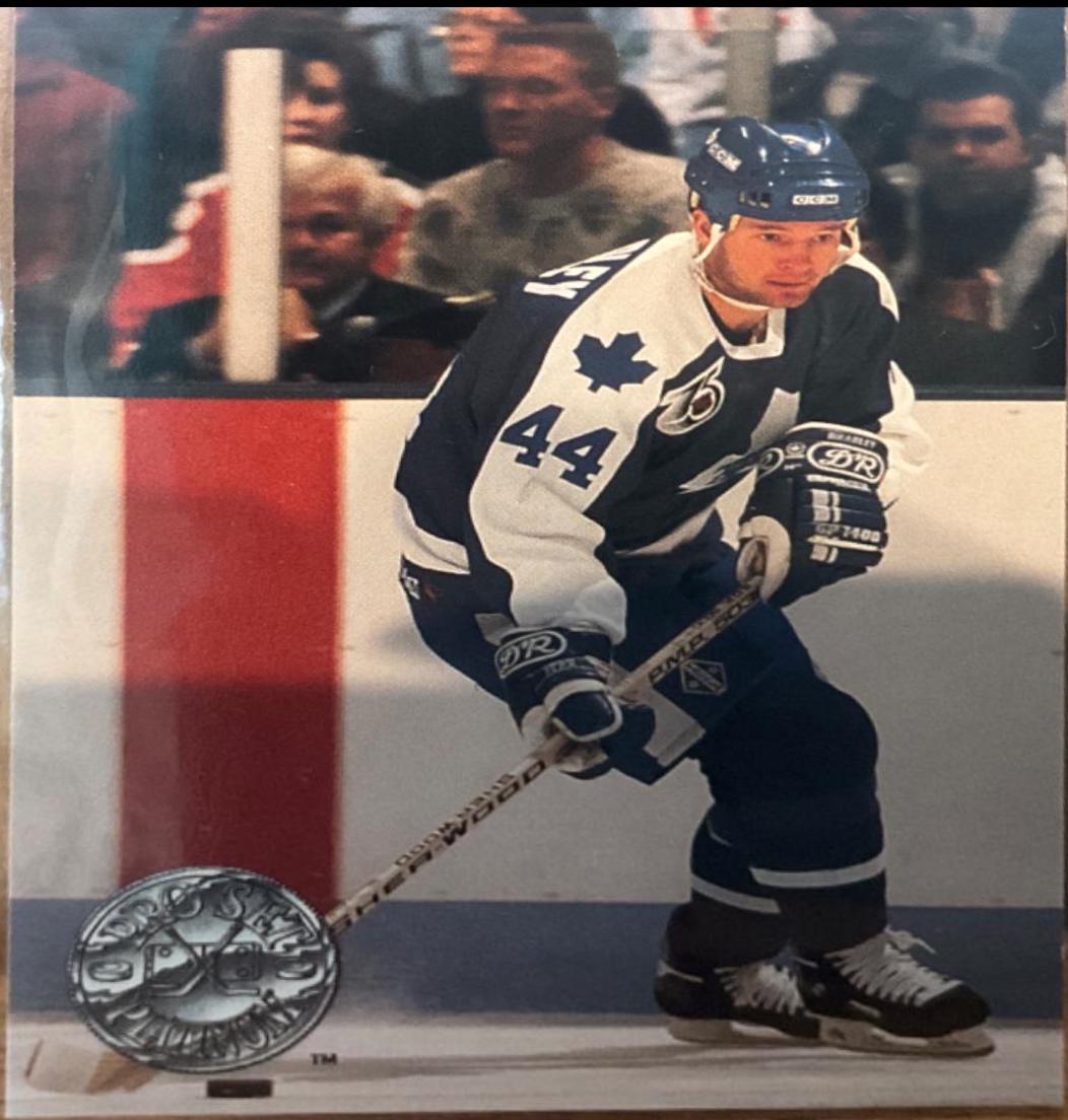 Brian Bradley #231 Hockey Cards 1991 Pro Set Platinum