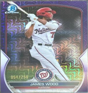 James Wood
