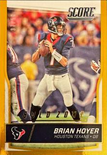 Brian Hoyer