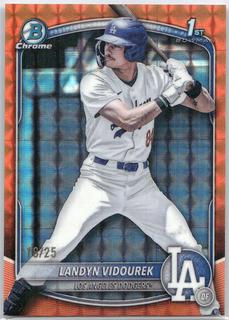 Landyn Vidourek