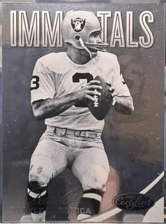 Daryle Lamonica