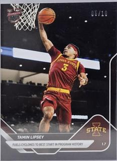 Tamin Lipsey