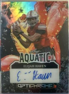 Elijah Haven