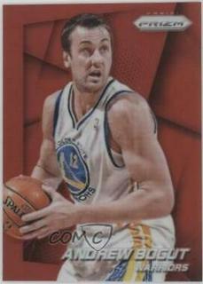 Andrew Bogut