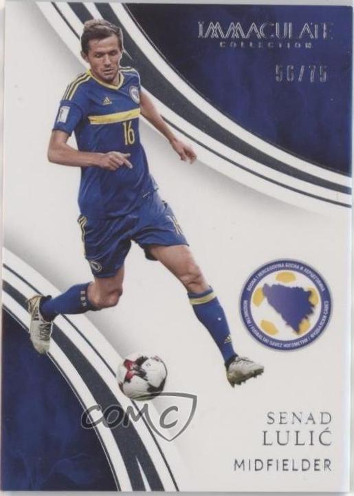 Senad Lulic