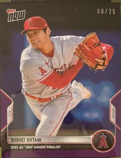 Shohei Ohtani