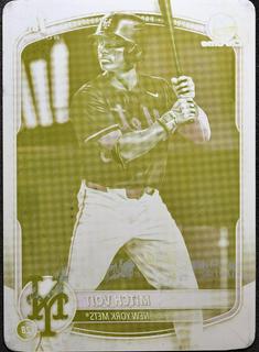 Mitch Voit