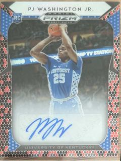PJ Washington Jr.