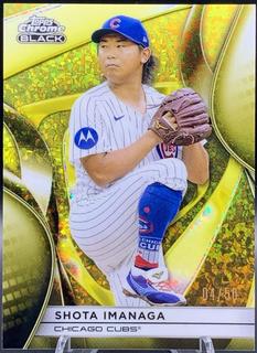 Shota Imanaga