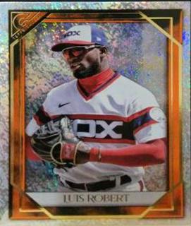 Luis Robert