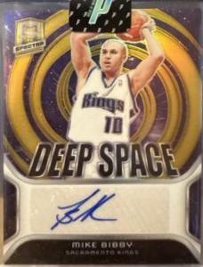 Mike Bibby