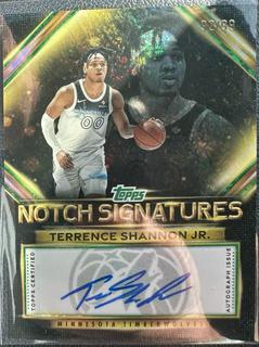 Terrence Shannon Jr.