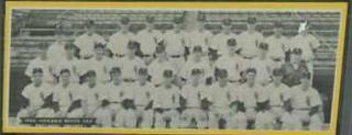 Chicago White Sox