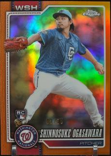 Shinnosuke Ogasawara