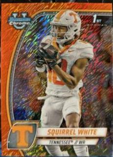 Squirrel White