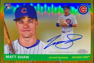 Matt Shaw