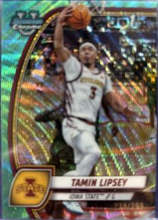 Tamin Lipsey