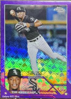 Tim Anderson