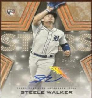 Steele Walker