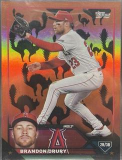 Brandon Drury