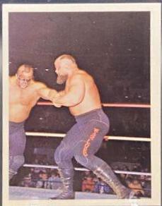 Warlord, Road Warrior Animal #290 Wrestling Cards 1988 Wonderama NWA