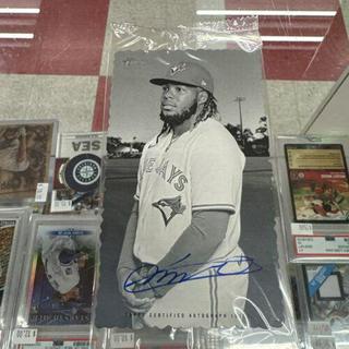 Vladimir Guerrero Jr.