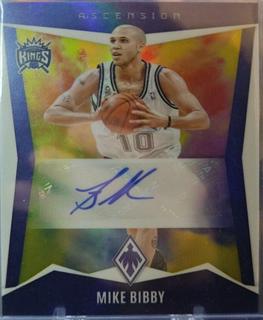 Mike Bibby