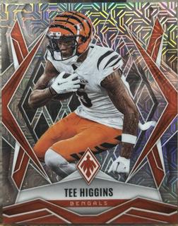 Tee Higgins