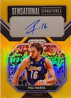 Pau Gasol