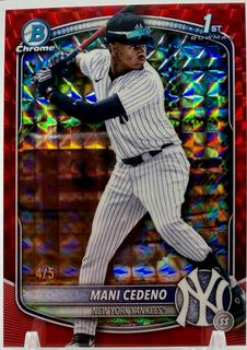 Mani Cedeno