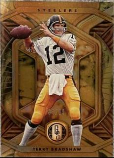 Terry Bradshaw