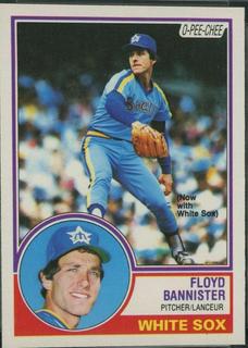 Floyd Bannister