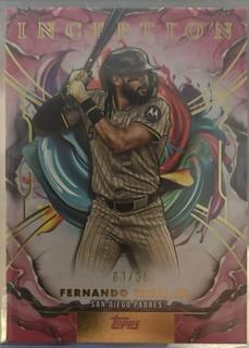 Fernando Tatis Jr.