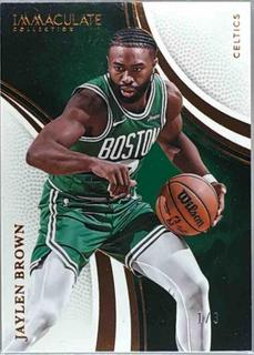 Jaylen Brown