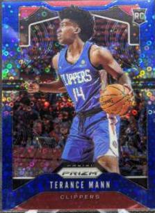 Terance Mann