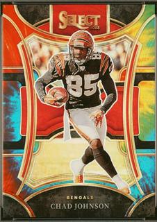 Chad Johnson