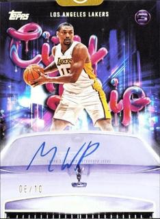 Metta World Peace