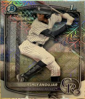 Ashly Andujar