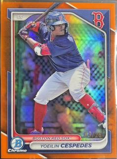 Yoeilin Cespedes