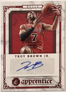 Troy Brown Jr.