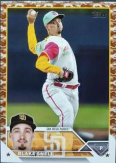 Blake Snell
