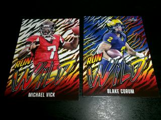 Michael Vick