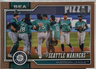 Team Card