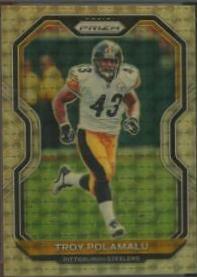 Troy Polamalu